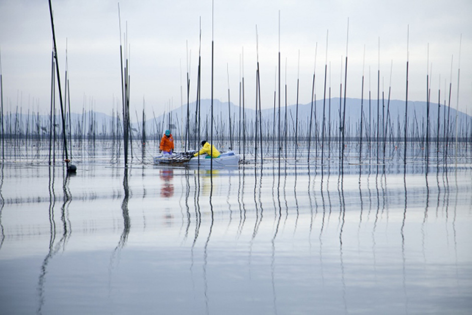 2 people in a dingy harvesting seaweed at a seaweed farm